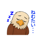 動物の日常会話03・ハクトウワシ・鷲（個別スタンプ：12）