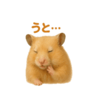 可愛い表情がいっぱい❤キンクマハムスター（個別スタンプ：2）