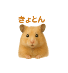 可愛い表情がいっぱい❤キンクマハムスター（個別スタンプ：4）