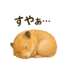 可愛い表情がいっぱい❤キンクマハムスター（個別スタンプ：7）