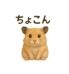 可愛い表情がいっぱい❤キンクマハムスター（個別スタンプ：11）