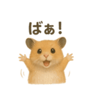 可愛い表情がいっぱい❤キンクマハムスター（個別スタンプ：15）