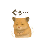 可愛い表情がいっぱい❤キンクマハムスター（個別スタンプ：16）