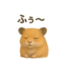 可愛い表情がいっぱい❤キンクマハムスター（個別スタンプ：17）