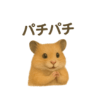 可愛い表情がいっぱい❤キンクマハムスター（個別スタンプ：27）