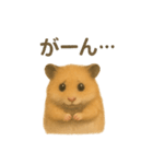 可愛い表情がいっぱい❤キンクマハムスター（個別スタンプ：29）