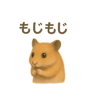 可愛い表情がいっぱい❤キンクマハムスター（個別スタンプ：30）