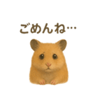 可愛い表情がいっぱい❤キンクマハムスター（個別スタンプ：34）