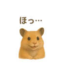 可愛い表情がいっぱい❤キンクマハムスター（個別スタンプ：37）