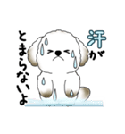 動く犬さん 2025 「暑い夏」（個別スタンプ：5）