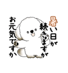 動く犬さん 2025 「暑い夏」（個別スタンプ：7）