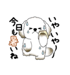 動く犬さん 2025 「暑い夏」（個別スタンプ：12）