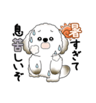 動く犬さん 2025 「暑い夏」（個別スタンプ：15）