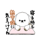 動く犬さん 2025 「暑い夏」（個別スタンプ：21）