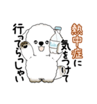 動く犬さん 2025 「暑い夏」（個別スタンプ：23）