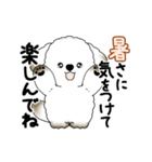 動く犬さん 2025 「暑い夏」（個別スタンプ：24）