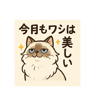 ラグドール猫×敬語×ふてぶてかわいい（個別スタンプ：2）