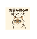 ラグドール猫×敬語×ふてぶてかわいい（個別スタンプ：8）
