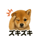 【感情表現】子犬の柴犬ウキウキスタンプ（個別スタンプ：7）