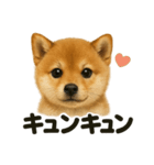 【感情表現】子犬の柴犬ウキウキスタンプ（個別スタンプ：8）
