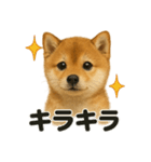 【感情表現】子犬の柴犬ウキウキスタンプ（個別スタンプ：9）