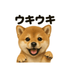 【感情表現】子犬の柴犬ウキウキスタンプ（個別スタンプ：14）