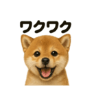 【感情表現】子犬の柴犬ウキウキスタンプ（個別スタンプ：15）