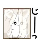 うさぎさん 2025 「夏です」（個別スタンプ：13）