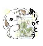 うさぎさん 2025 「夏です」（個別スタンプ：28）