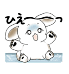うさぎさん 2025 「夏です」（個別スタンプ：33）