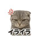【感情表現】リアルなペルシャ猫のLINE（個別スタンプ：5）