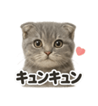 【感情表現】リアルなペルシャ猫のLINE（個別スタンプ：8）