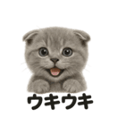 【感情表現】リアルなペルシャ猫のLINE（個別スタンプ：13）