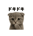 【感情表現】リアルなペルシャ猫のLINE（個別スタンプ：15）