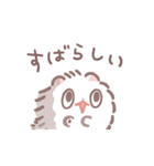 ポメラニアンもち -ほめことば-（個別スタンプ：12）