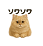 【感情表現】リアルなペルシャ猫のスタンプ（個別スタンプ：8）