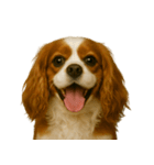 ハッピー顔（犬編）（個別スタンプ：5）