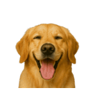 ハッピー顔（犬編）（個別スタンプ：8）