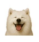 ハッピー顔（犬編）（個別スタンプ：9）