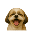 ハッピー顔（犬編）（個別スタンプ：10）