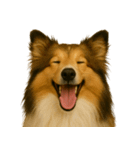 ハッピー顔（犬編）（個別スタンプ：11）