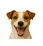 ハッピー顔（犬編）（個別スタンプ：13）