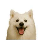 ハッピー顔（犬編）（個別スタンプ：14）