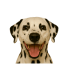 ハッピー顔（犬編）（個別スタンプ：16）