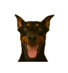 ハッピー顔（犬編）（個別スタンプ：19）