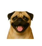 ハッピー顔（犬編）（個別スタンプ：21）