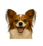 ハッピー顔（犬編）（個別スタンプ：22）