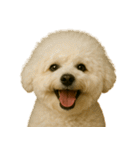 ハッピー顔（犬編）（個別スタンプ：24）