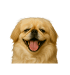 ハッピー顔（犬編）（個別スタンプ：27）