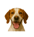 ハッピー顔（犬編）（個別スタンプ：28）